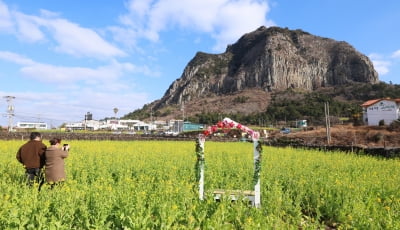 "도시 청년들 모여라"…제주, '한달살이' 숙박비 쏜다