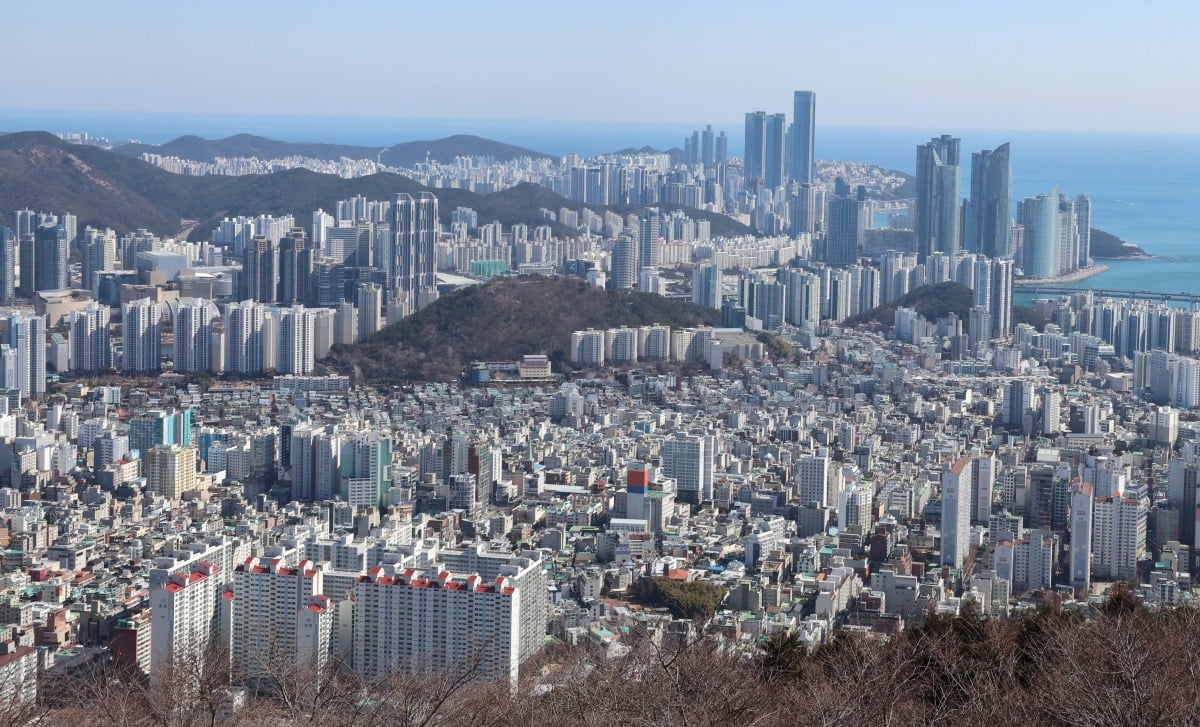 부산 수영구와 해운대구 일대 토토사이트 러쉬 / 사진=연합뉴스