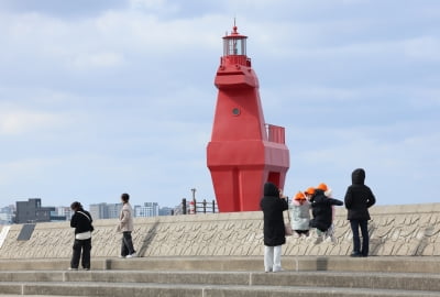 "제주관광 서비스 질 높인다"…제주도 '칭찬해요' 캠페인 전개