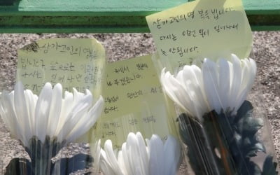 "우울증은 죄가 없다, 가해자 죗값 치르길"…정신과 교수 일침