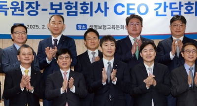 보험사 CEO 만난 이복현 "건전성 하방 압력 증대…리스크 관리해야"