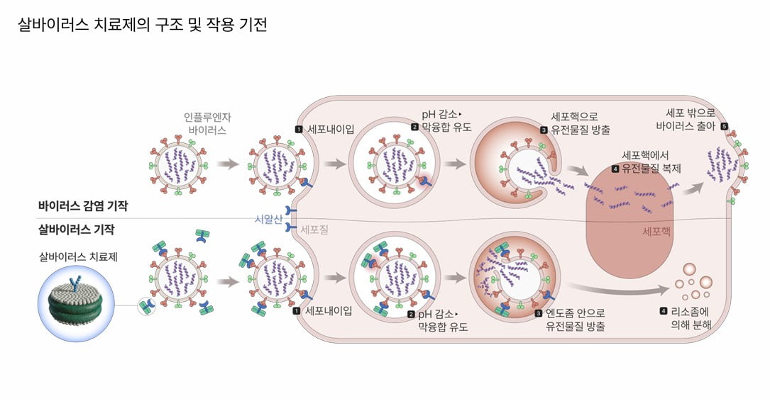 [K바이오 뉴프런티어 (3)] 엠브릭스 "단백질 공학 기술로 신약 패러다임 바꾸겠다"