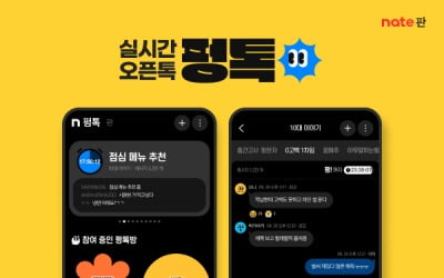 "썸 탈 줄 알았는데"…아무도 안 쓰는 네이트 '펑톡'