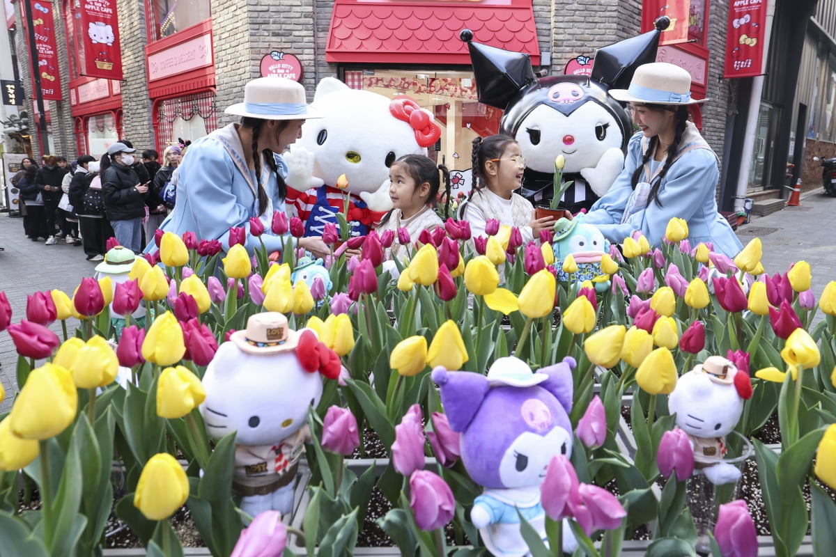 헬로키티·쿠로미와 함께하는 '카지노사이트 튤립축제'