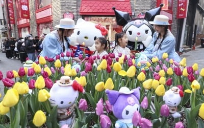 헬로키티·쿠로미와 함께하는 '에버랜드 튤립축제'