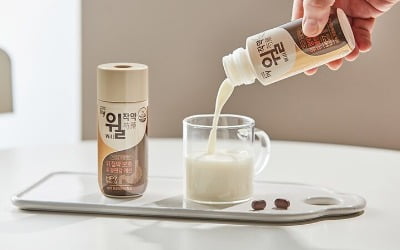 꾸찌뽕잎 뭐길래…10일 카지노 정팔 100만개 팔렸다