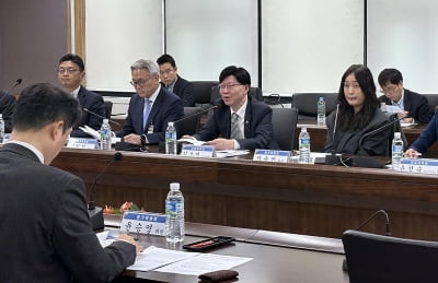 금융위, 회계·감사 지배구조 우수기업 평가위원회 출범