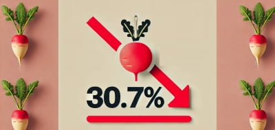 농산물 가격 대체로 안정세…부추는 34% 급락