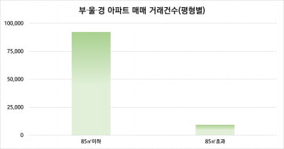 지난해 부·울·경 부동산 시장은 중소형 평형이 주도