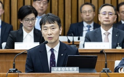 이복현 "MBK 의혹, 엄하게 조사할 것…검사 대상 확대 검토"