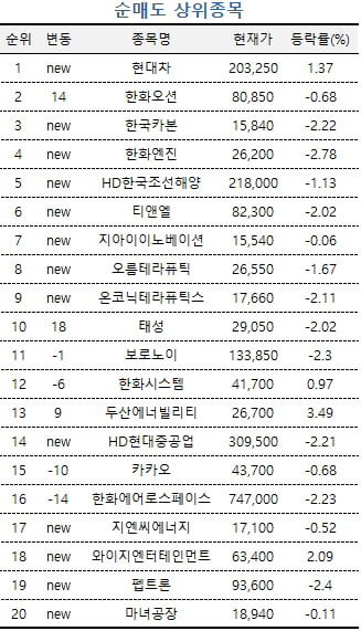 [마켓PRO] 역사적 저점...초고수들, 대한항공 쓸어담았다