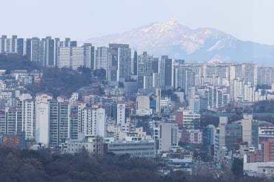 강남 집값 신고가에…한달 만에 용산까지 토허제 확대·재지정