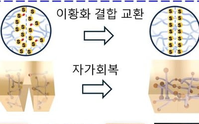 찢어져도 10초 내 '스르륵'…80% 회복되는 '전자피부' 국내 개발