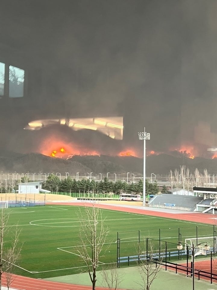 안동대학교 뒷편으로 불길이 번지고 있는 모습. 독자 제공