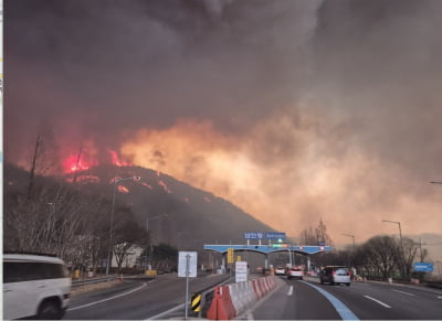 의성산불 경북 북부로 확산하며 영덕 6명 등 사망자 15명 발생