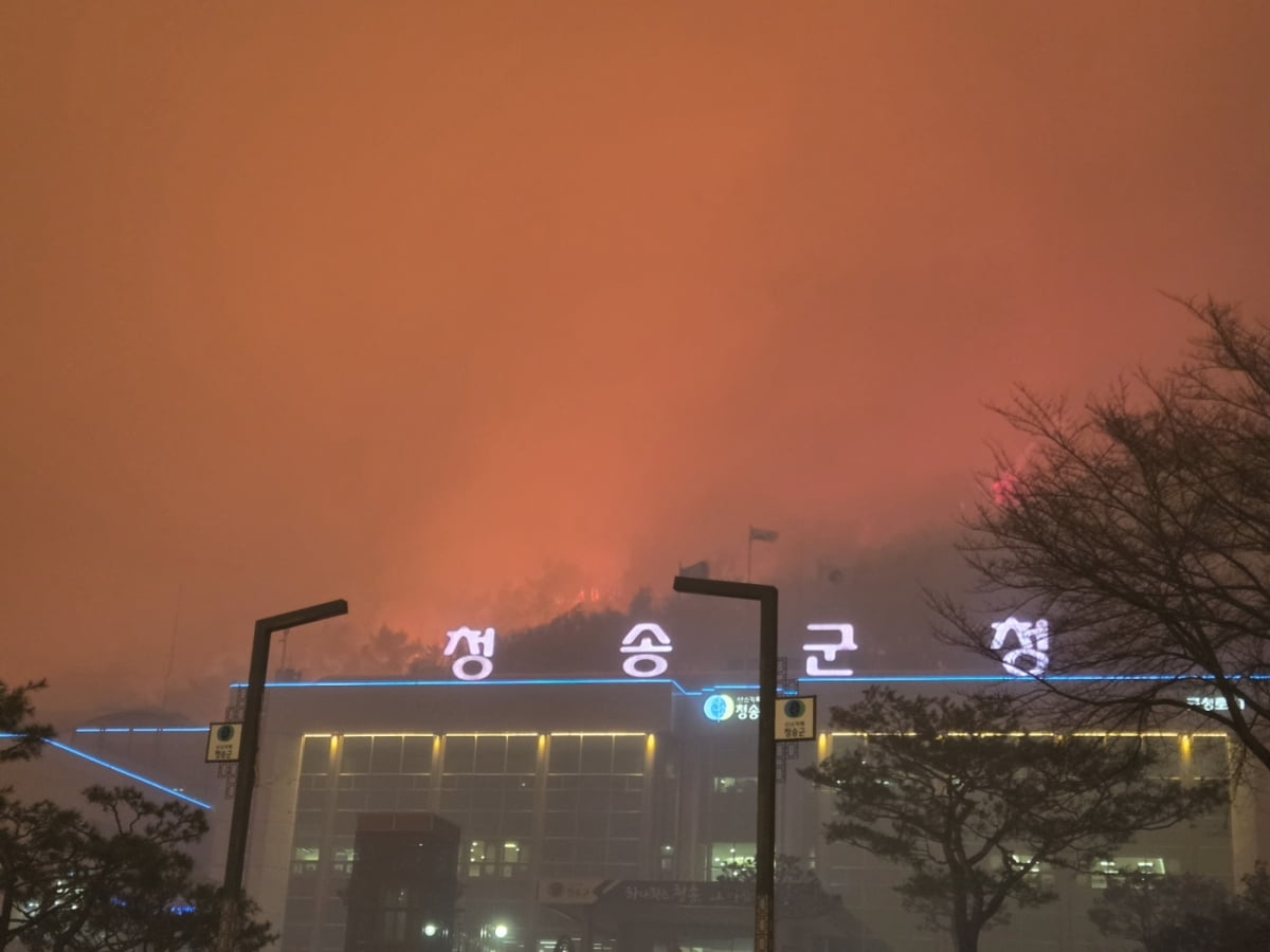 25이 저녁 청송군청 인근까지 번진 산불. 경북소방본부 제공.