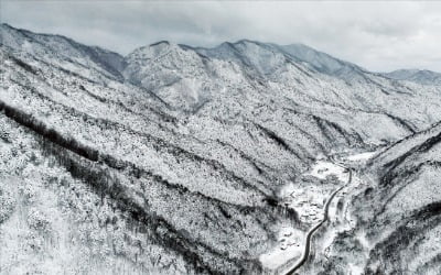 3월에 설경 펼쳐진 오대산