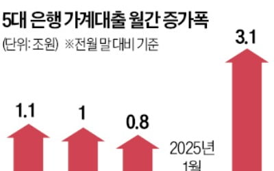 따로 노는 정책에 가계대출 '들썩'…지난달 5대 은행서만 3조 급증