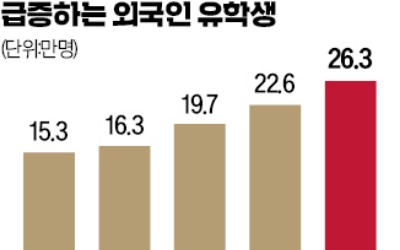 K콘텐츠 좇아 유학온 외국인들 "취업도 한국에서"