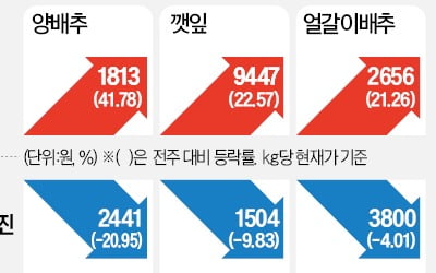 수입 관세 인하로 과일값 안정세