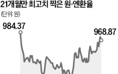 엔화 노출형 미국채 ETF 날았다