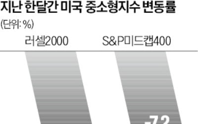 美 중소형주 '자금 썰물'