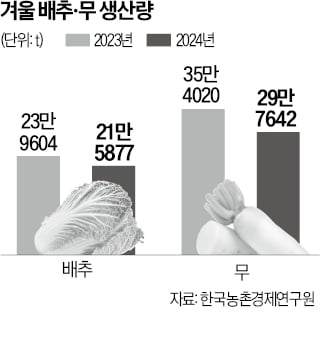 폭설·한파에 배추 생산 급감…대상·CJ 등 김치업계 '비상'