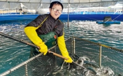 광어·연어 등 국민 횟감 치솟자…송어까지 식탁 올리는 대형마트