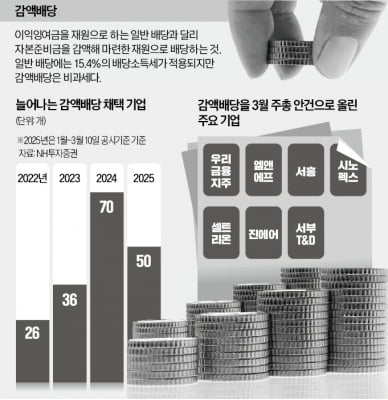 개미도 최대주주도 '윈윈'…감액배당 늘었다