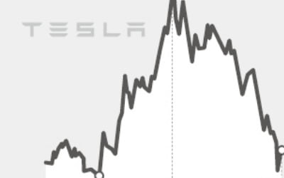 테슬라·BYD, 하나가 뛰면 나머지는 폭락