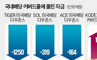 해외배당 ETF서 국내배당·커버드콜로 대이동