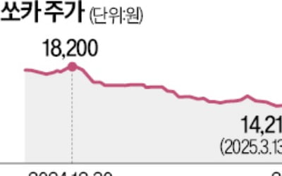 이재웅, 쏘카 30억 '쥐꼬리' 공개매수 나선 까닭