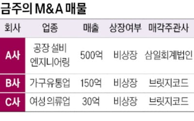 매출 500억 공장 설비 엔지니어링 기업 매물로