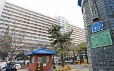 [주택시장 안정화 방안]한 달 새 불붙은 강남 부동산 시장 잠재울까…전문가들은 ‘갸우뚱’