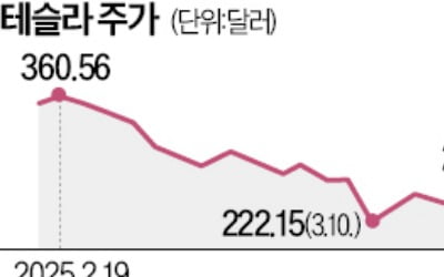 中서 '자율주행 SW 무료' 발표에…테슬라 목표주가 줄하향