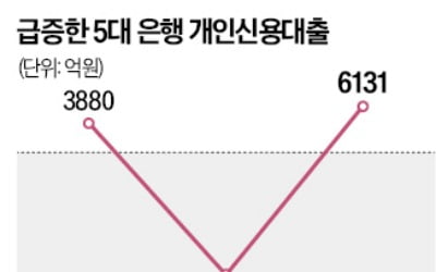 '영끌족' 몰렸나…주담대 이어 억눌렸던 신용대출도 폭증