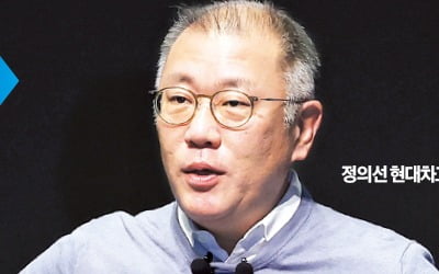 정의선 "SDV, 외부업체 끌려다니면 안돼…3년 내 승부 보겠다"