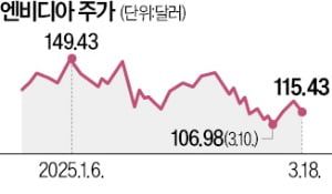 성능 900배 AI칩 내놨지만 시장은 싸늘…예전만 못한 '젠슨황 매직'