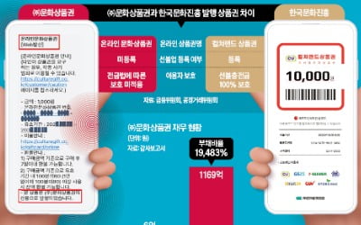 머지포인트 데자뷔? … 선불업 등록 안한 '문화상품권' 주의보