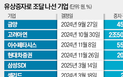 '얼마를 날린 거야'…순식간 13% 폭락에 개미들 비명