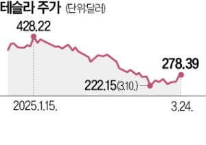 트럼프 '관세' 한마디에 롤러코스터 타는 테슬라