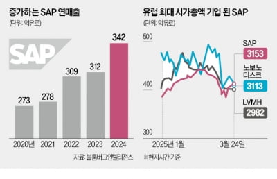 클라우드·AI 질주…SAP, 유럽 시총 1위 올랐다