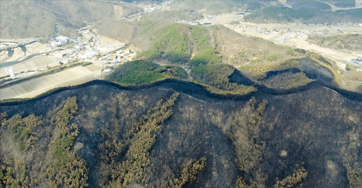 < 드디어 멈춘 산불 alt=
