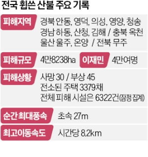 산청불야성 토토사이트 주불까지 잡았다…밤샘 사투 끝에 지리산 천왕봉 지켜
