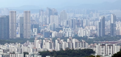 “강남3구 들썩” 아파트 값 띄운 토허제