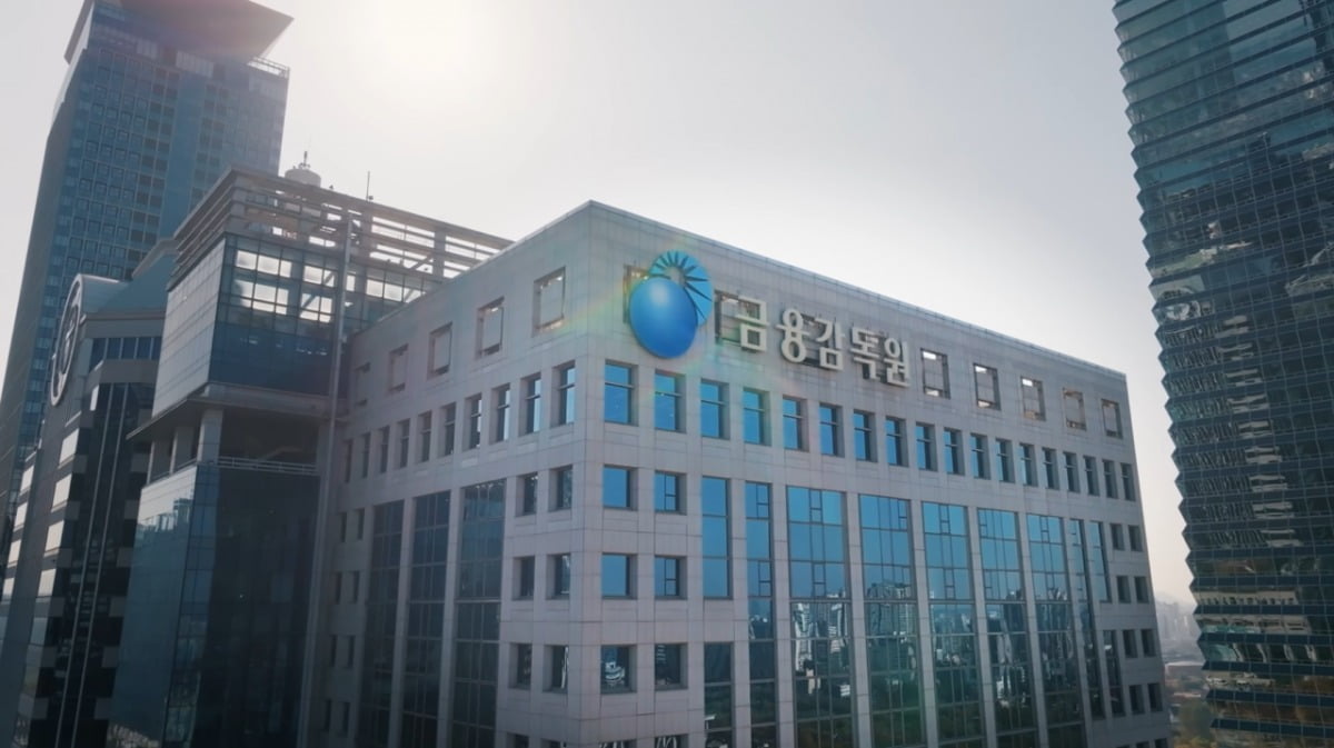 금융감독원 전경, 액트 제공