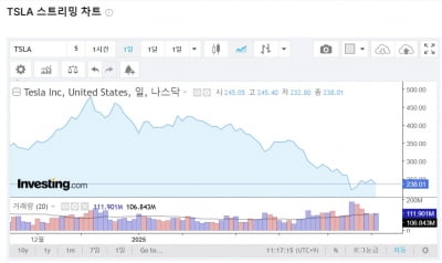 연일 하락하는 테슬라 주가...이유는 중국 때문?