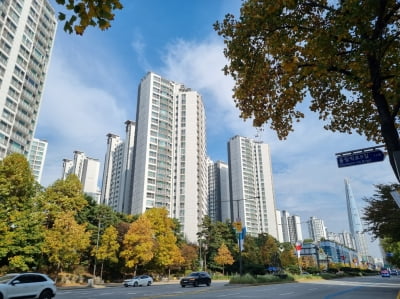 “'오쏘공'에 왜 우리까지”…‘부글부글’ 끓는 용산·잠실 민심[혼돈의 부동산②]
