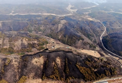 “전국이 불바다” 산·주차장·호텔·공장 가리지 않고 화염 휩싸여