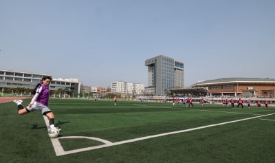 “홈경기 졸전에 충격 먹었나” 국내 축구장 잔디 전수조사 및 개선 추진